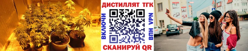 mega ссылки  Хилок  ТГК концентрат 